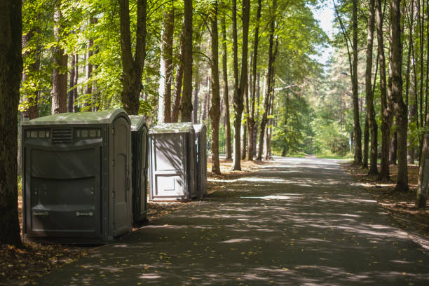 Best Sanitation services for porta potties  in Hillsboro, WI